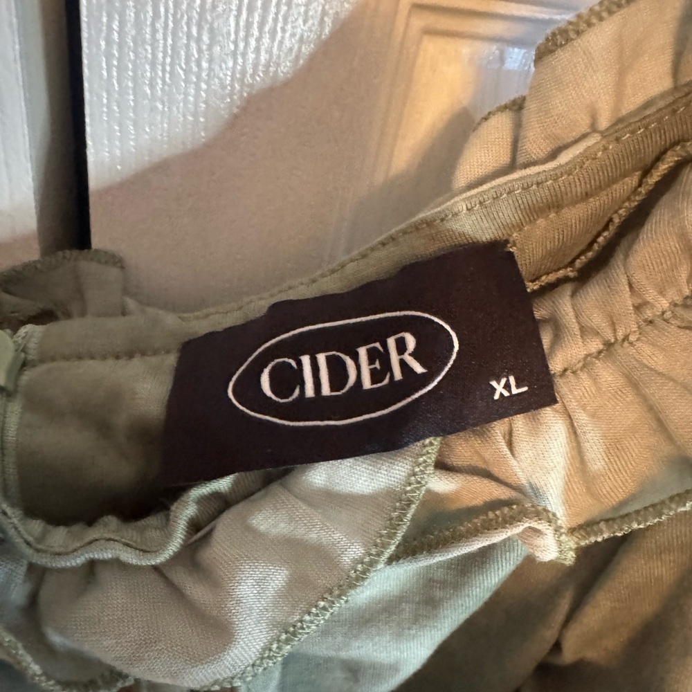 Cider Vineyard Strolls Green Corset Mini Dress - Picture 4 of 4